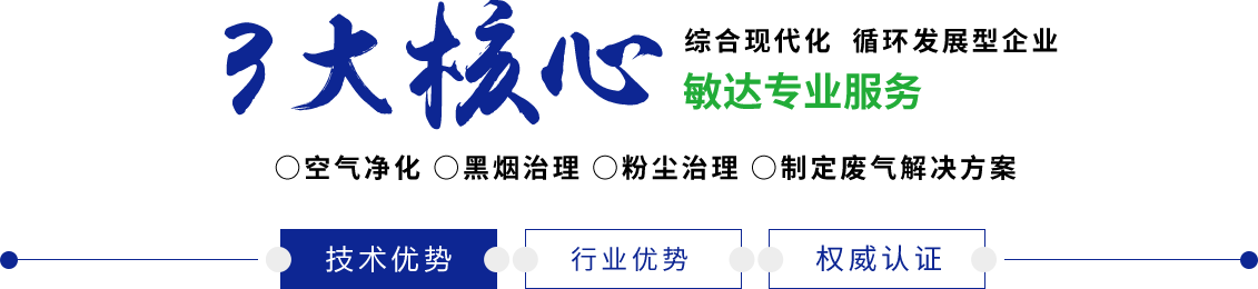 凌辱ゲリラ狩り3敏达环保科技（嘉兴）有限公司